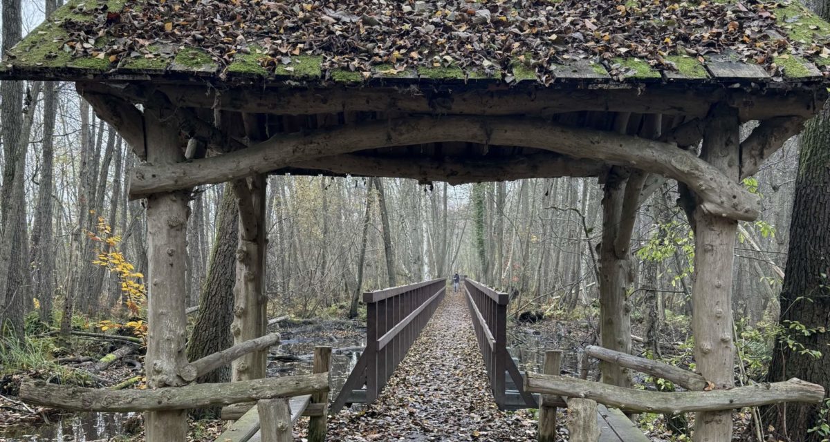 Holzbrücke im Wald – Symbol für den Übergang