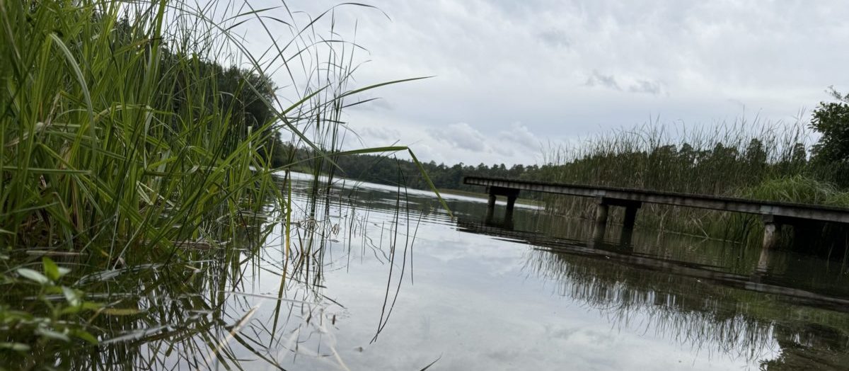 Der Waschsee – Thomas' Heimat